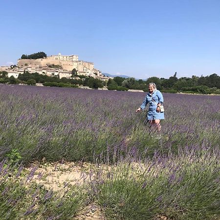 Valréas Chambre D'Hotes Chaleureuse En Drome Provencale 아파트 외부 사진